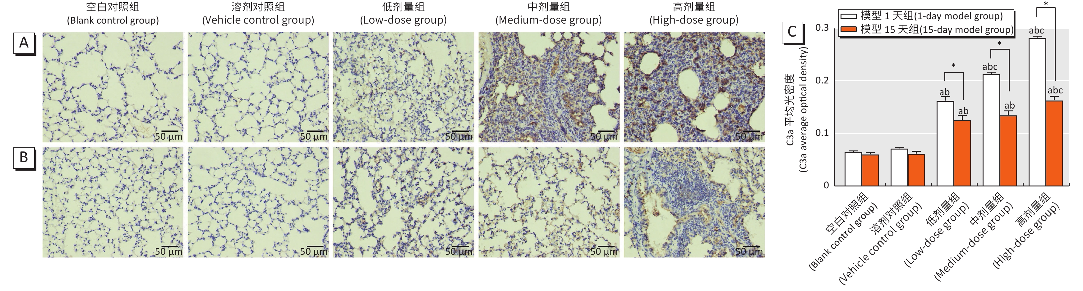 小鼠肺组织C3aR免疫组化结果（n=3~5）